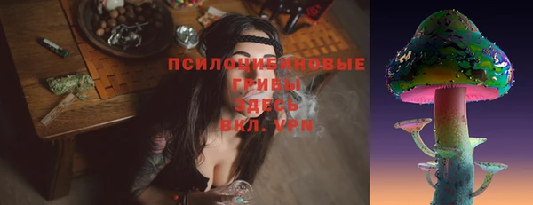 не бодяженный Аркадак