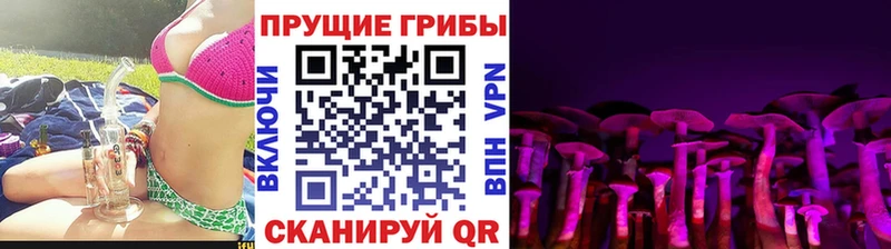 Галлюциногенные грибы прущие грибы  Сысерть 